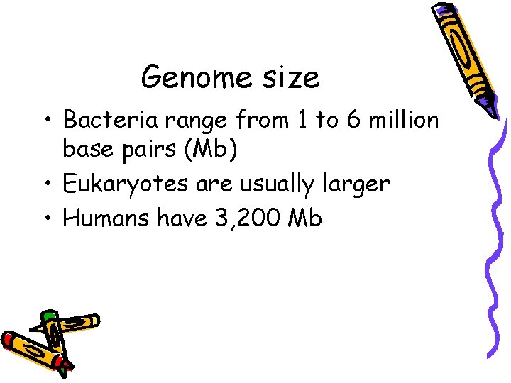 Genome size • Bacteria range from 1 to 6 million base pairs (Mb) •