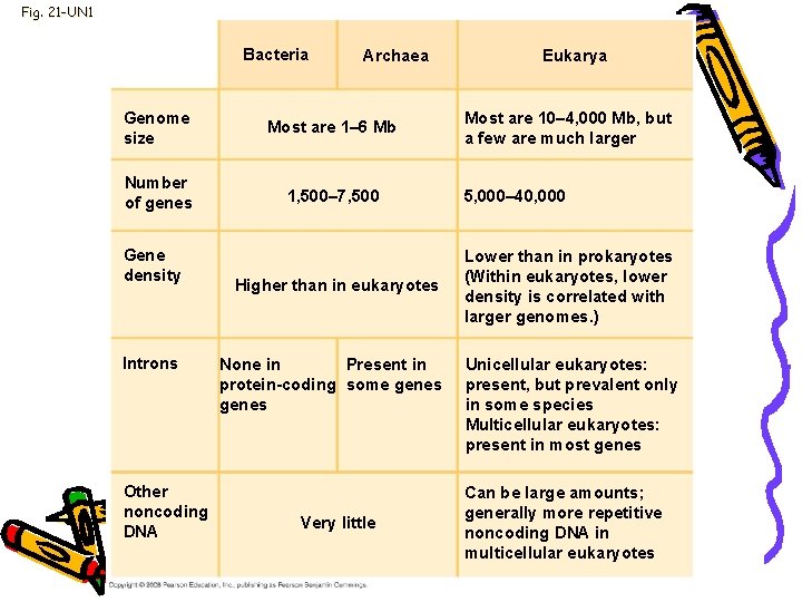 Fig. 21 -UN 1 Bacteria Archaea Genome size Most are 1– 6 Mb Number