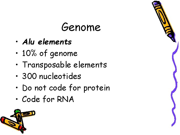 Genome • • • Alu elements 10% of genome Transposable elements 300 nucleotides Do
