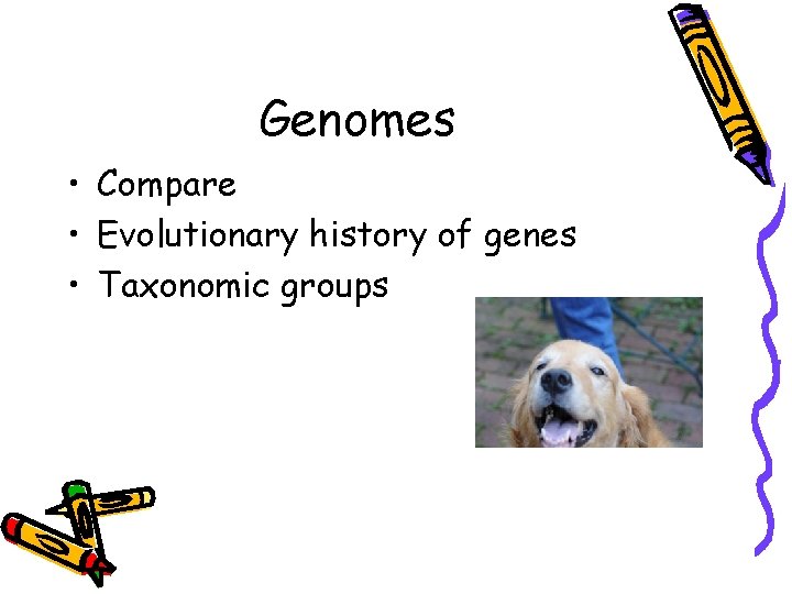 Genomes • Compare • Evolutionary history of genes • Taxonomic groups 