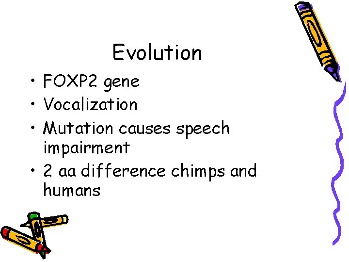 Evolution • FOXP 2 gene • Vocalization • Mutation causes speech impairment • 2 Evolution • FOXP 2 gene • Vocalization • Mutation causes speech impairment • 2