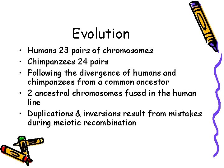 Evolution • Humans 23 pairs of chromosomes • Chimpanzees 24 pairs • Following the