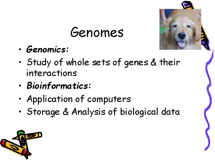 Genomes • Genomics: • Study of whole sets of genes & their interactions •