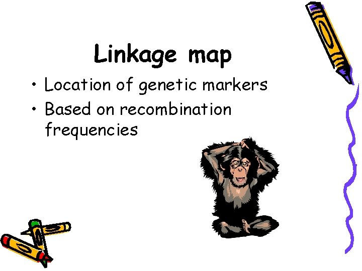 Linkage map • Location of genetic markers • Based on recombination frequencies Linkage map • Location of genetic markers • Based on recombination frequencies