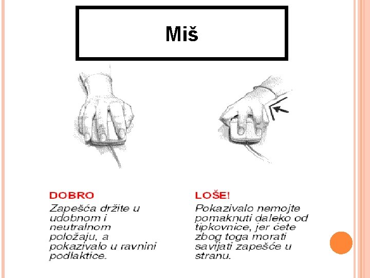 Miš 