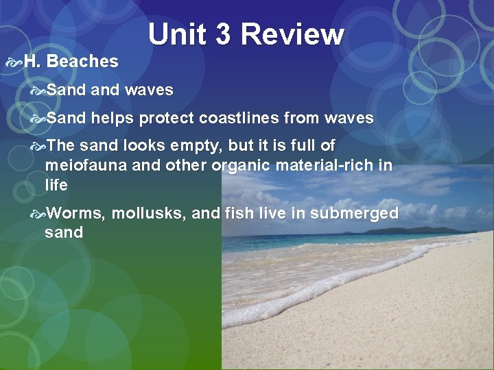 H. Beaches Unit 3 Review Sand waves Sand helps protect coastlines from waves H. Beaches Unit 3 Review Sand waves Sand helps protect coastlines from waves