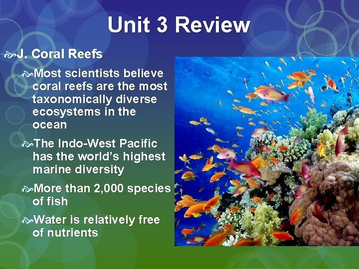Unit 3 Review J. Coral Reefs Most scientists believe coral reefs are the most