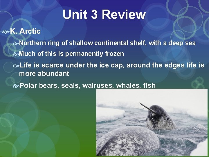 Unit 3 Review K. Arctic Northern ring of shallow continental shelf, with a deep