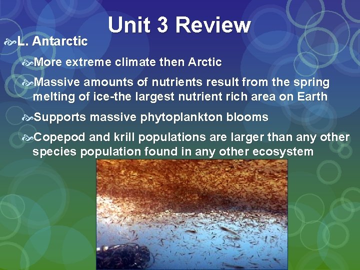  L. Antarctic Unit 3 Review More extreme climate then Arctic Massive amounts of