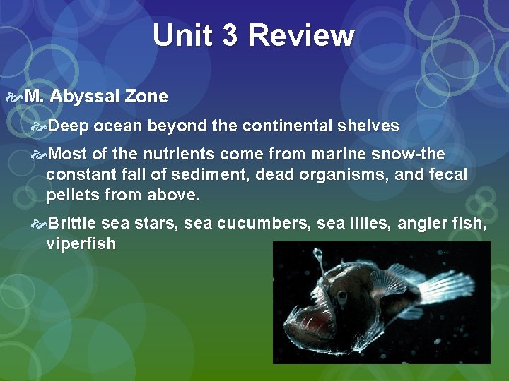 Unit 3 Review M. Abyssal Zone Deep ocean beyond the continental shelves Most of