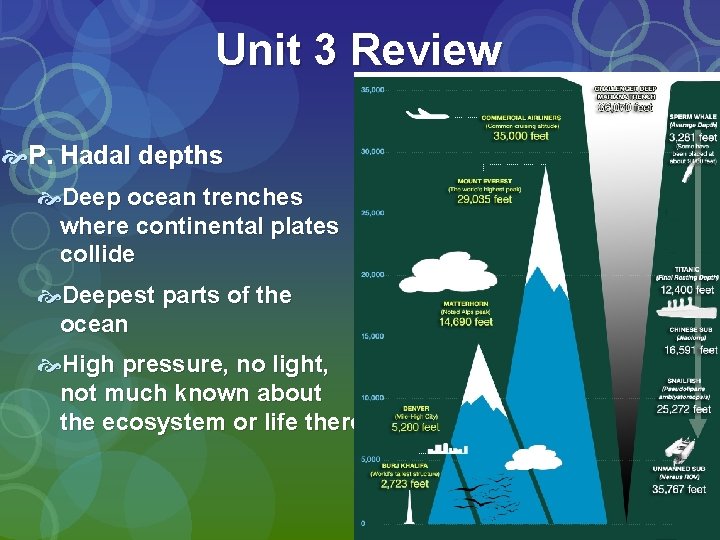 Unit 3 Review P. Hadal depths Deep ocean trenches where continental plates collide Deepest