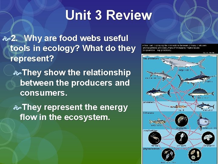 Unit 3 Review 2. Why are food webs useful tools in ecology? What do