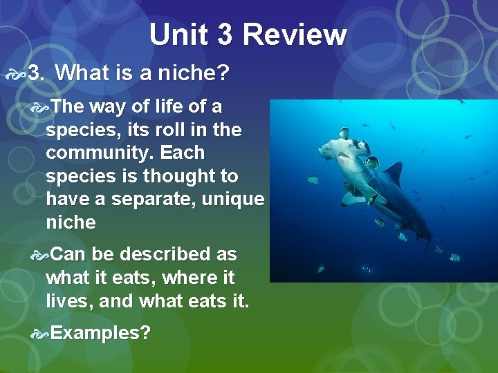 Unit 3 Review 3. What is a niche? The way of life of a