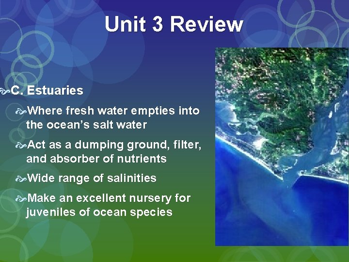 Unit 3 Review C. Estuaries Where fresh water empties into the ocean’s salt water