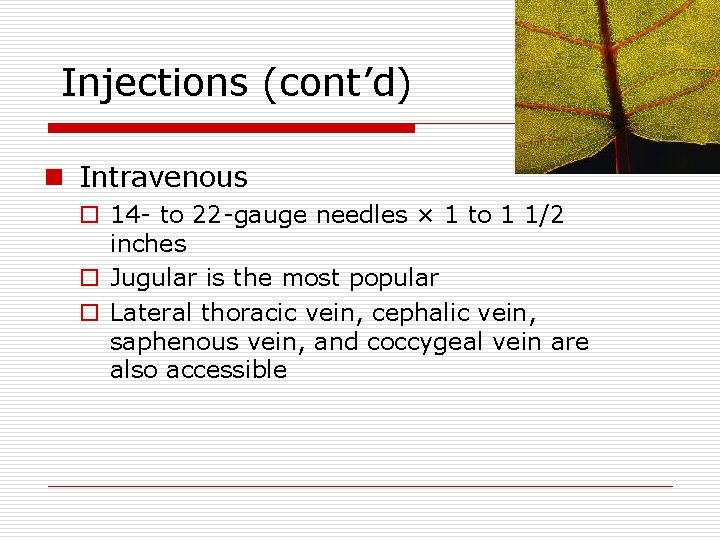 Injections (cont’d) n Intravenous o 14 - to 22 -gauge needles × 1 to