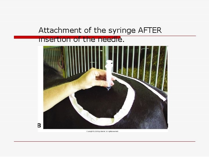 Attachment of the syringe AFTER insertion of the needle. 