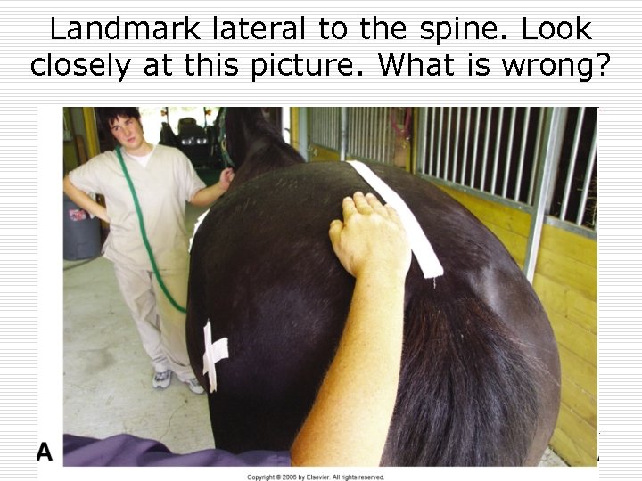 Landmark lateral to the spine. Look closely at this picture. What is wrong? 