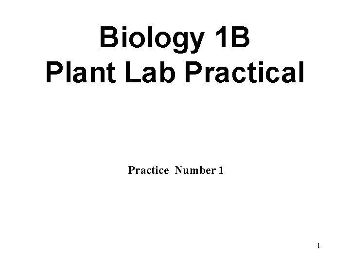 Biology 1 B Plant Lab Practical Practice Number 1 1 
