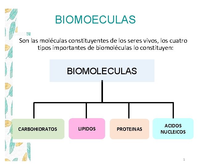 BIOMOECULAS Son las moléculas constituyentes de los seres vivos, los cuatro tipos importantes de