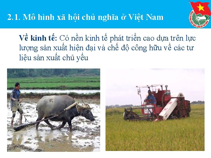 2. 1. Mô hình xã hội chủ nghĩa ở Việt Nam Về kinh tế: