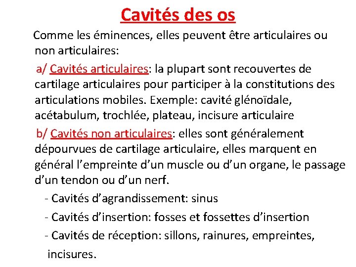 Cavités des os Comme les éminences, elles peuvent être articulaires ou non articulaires: a/