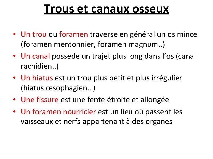 Trous et canaux osseux • Un trou ou foramen traverse en général un os