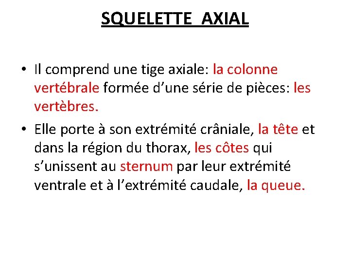 SQUELETTE AXIAL • Il comprend une tige axiale: la colonne vertébrale formée d’une série