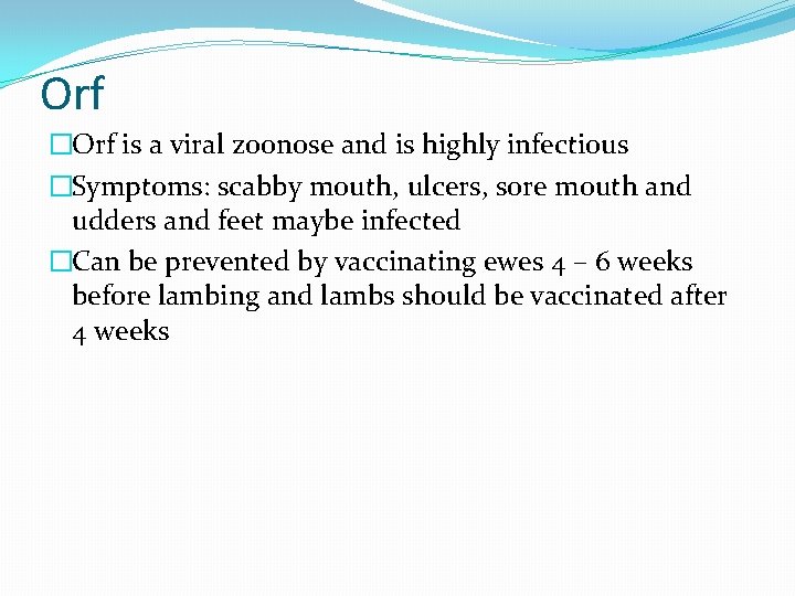 Orf �Orf is a viral zoonose and is highly infectious �Symptoms: scabby mouth, ulcers,