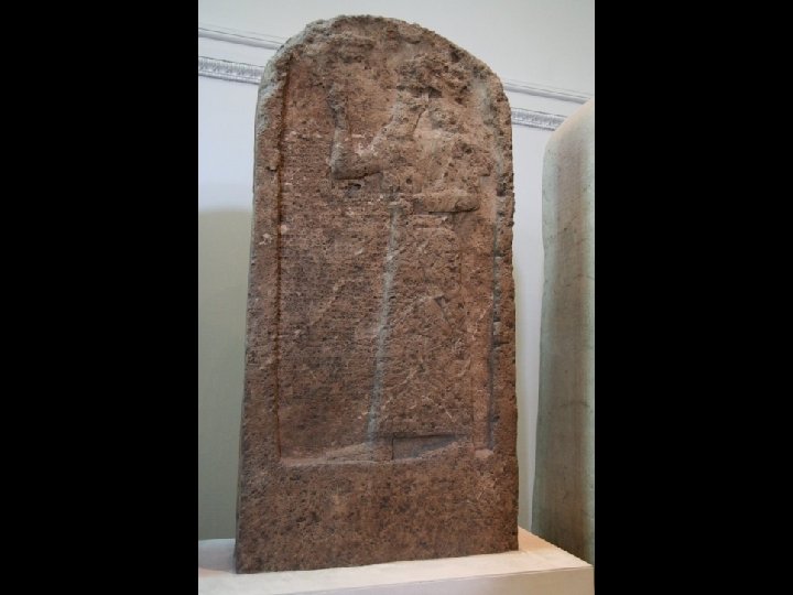 stela 