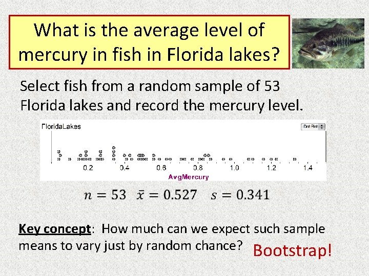 What is the average level of mercury in fish in Florida lakes? Select fish