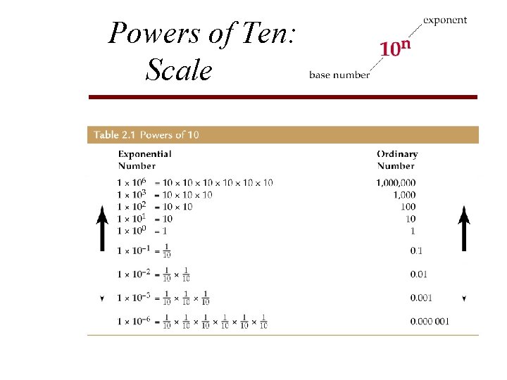 Powers of Ten: Scale 