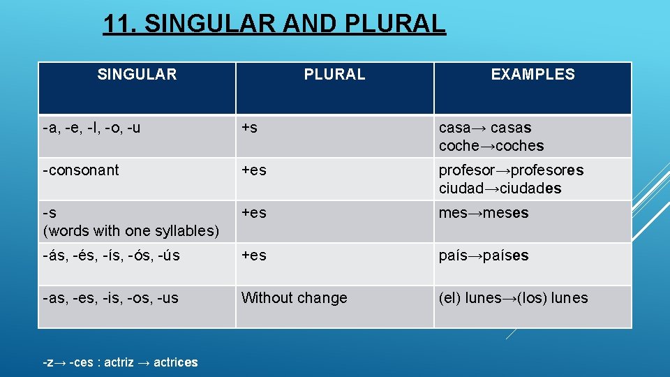 11. SINGULAR AND PLURAL SINGULAR PLURAL EXAMPLES -a, -e, -I, -o, -u +s casa→