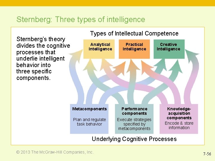 Sternberg: Three types of intelligence Sternberg’s theory divides the cognitive processes that underlie intelligent