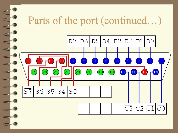 Parts of the port (continued…) 