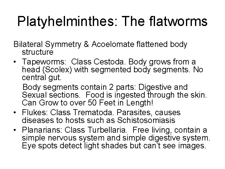 Platyhelminthes: The flatworms Bilateral Symmetry & Acoelomate flattened body structure • Tapeworms: Class Cestoda.