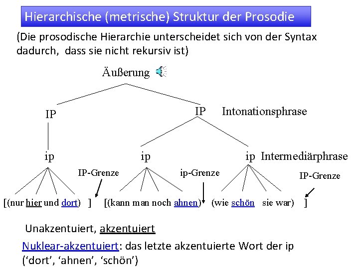 Hierarchische (metrische) Struktur der Prosodie (Die prosodische Hierarchie unterscheidet sich von der Syntax dadurch,