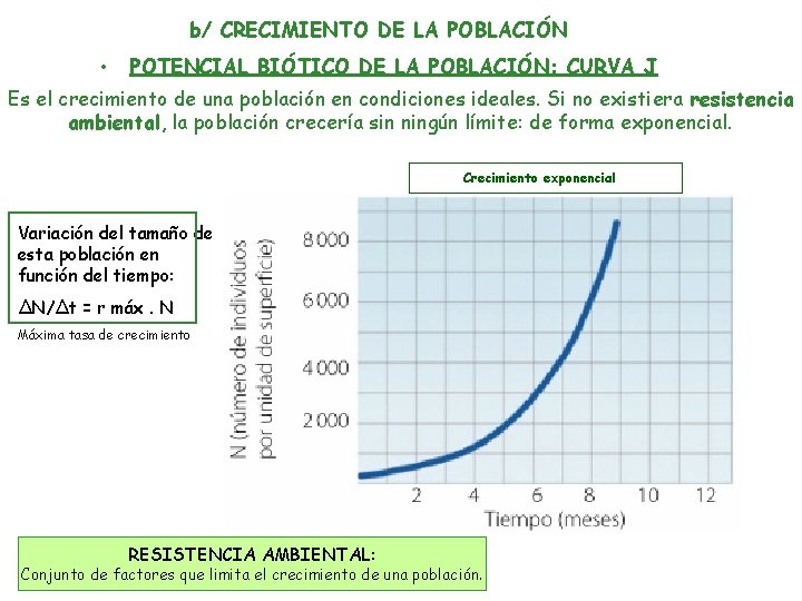 b/ CRECIMIENTO DE LA POBLACIÓN • POTENCIAL BIÓTICO DE LA POBLACIÓN: CURVA J Es