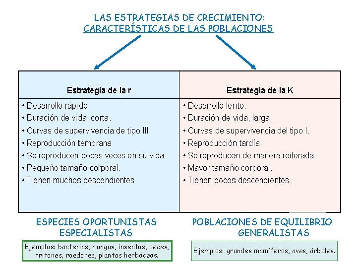 LAS ESTRATEGIAS DE CRECIMIENTO: CARACTERÍSTICAS DE LAS POBLACIONES ESPECIES OPORTUNISTAS ESPECIALISTAS POBLACIONES DE EQUILIBRIO