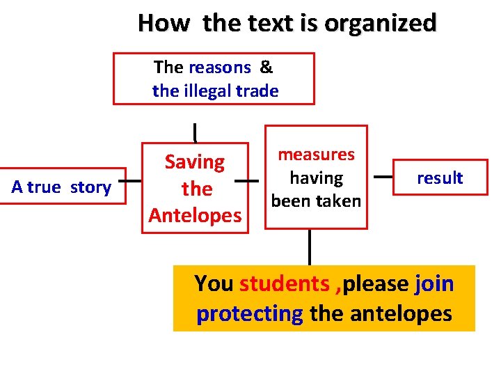 How the text is organized The reasons & the illegal trade A true story How the text is organized The reasons & the illegal trade A true story
