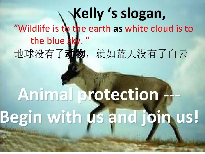 Kelly ‘s slogan, “Wildlife is to the earth as white cloud is to the Kelly ‘s slogan, “Wildlife is to the earth as white cloud is to the