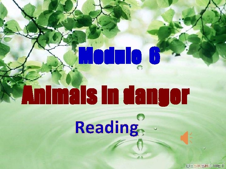 Module 6 Animals in danger Reading Module 6 Animals in danger Reading