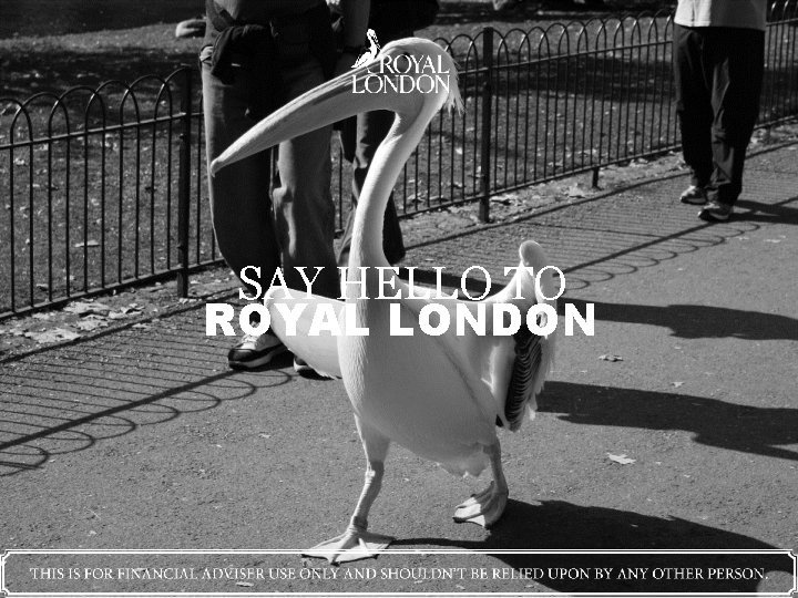 SAY HELLO TO ROYAL LONDON 