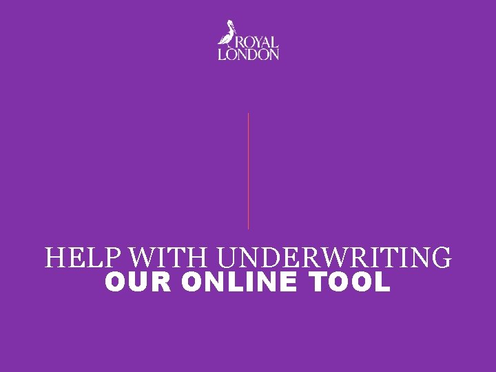 HELP WITH UNDERWRITING OUR ONLINE TOOL 