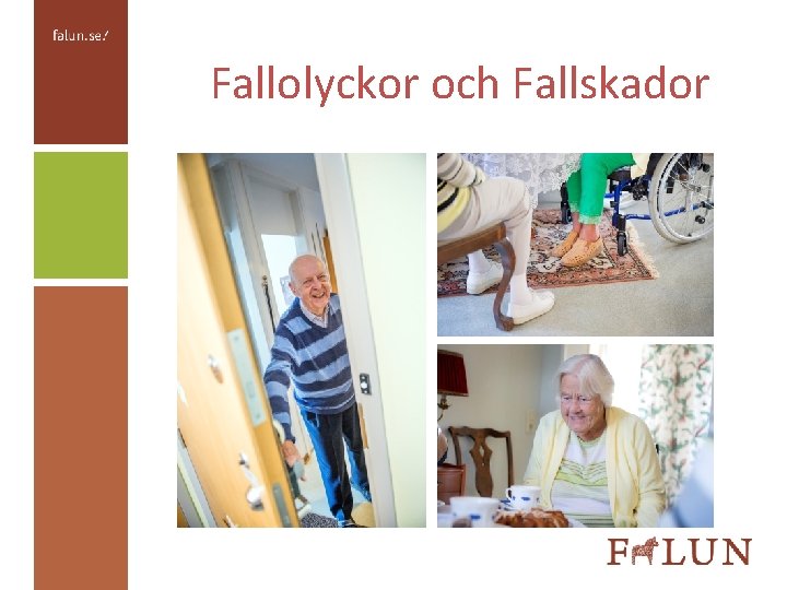 Fallolyckor och Fallskador 