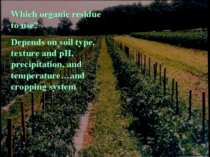 Which organic residue to use? Depends on soil type, texture and p. H, precipitation,