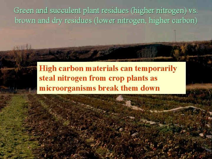 Green and succulent plant residues (higher nitrogen) vs. brown and dry residues (lower nitrogen,