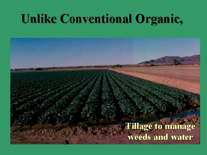 Unlike Conventional Organic, Tillage to manage weeds and water 