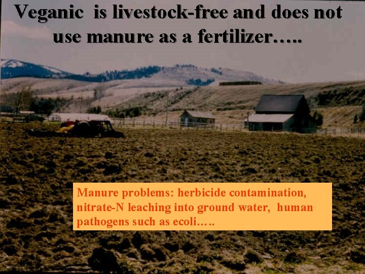 Veganic is livestock-free and does not use manure as a fertilizer…. . Manure problems: