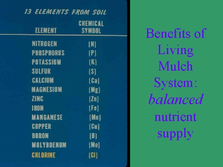 Benefits of Living Mulch System: balanced nutrient supply 