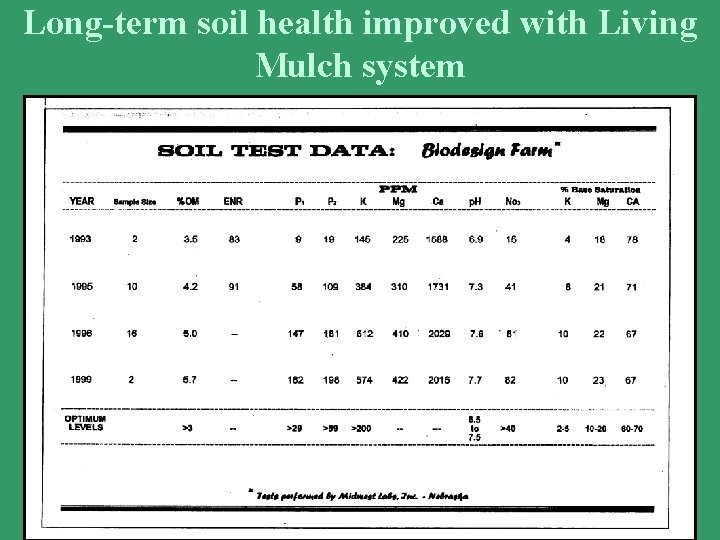 Long-term soil health improved with Living Mulch system 